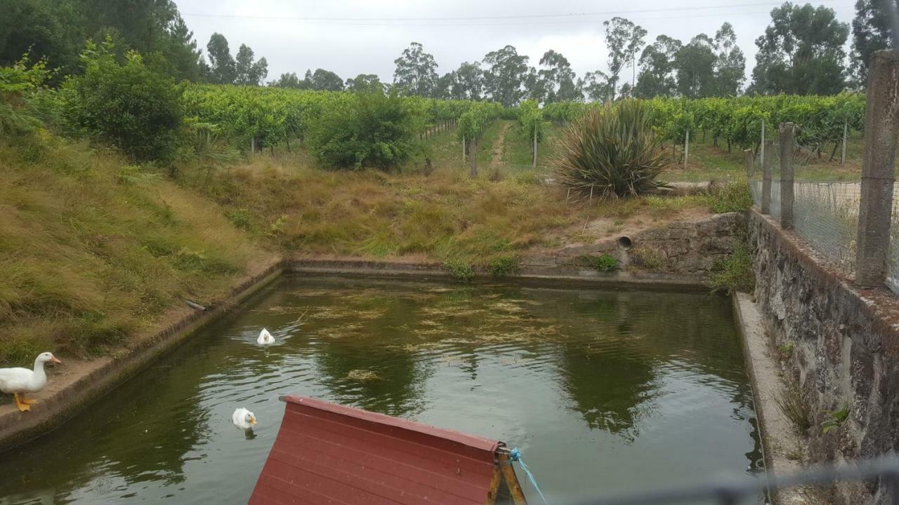 בית הארחה פאפה 	Quinta D'Areda Wine&Pool Experience מראה חיצוני תמונה